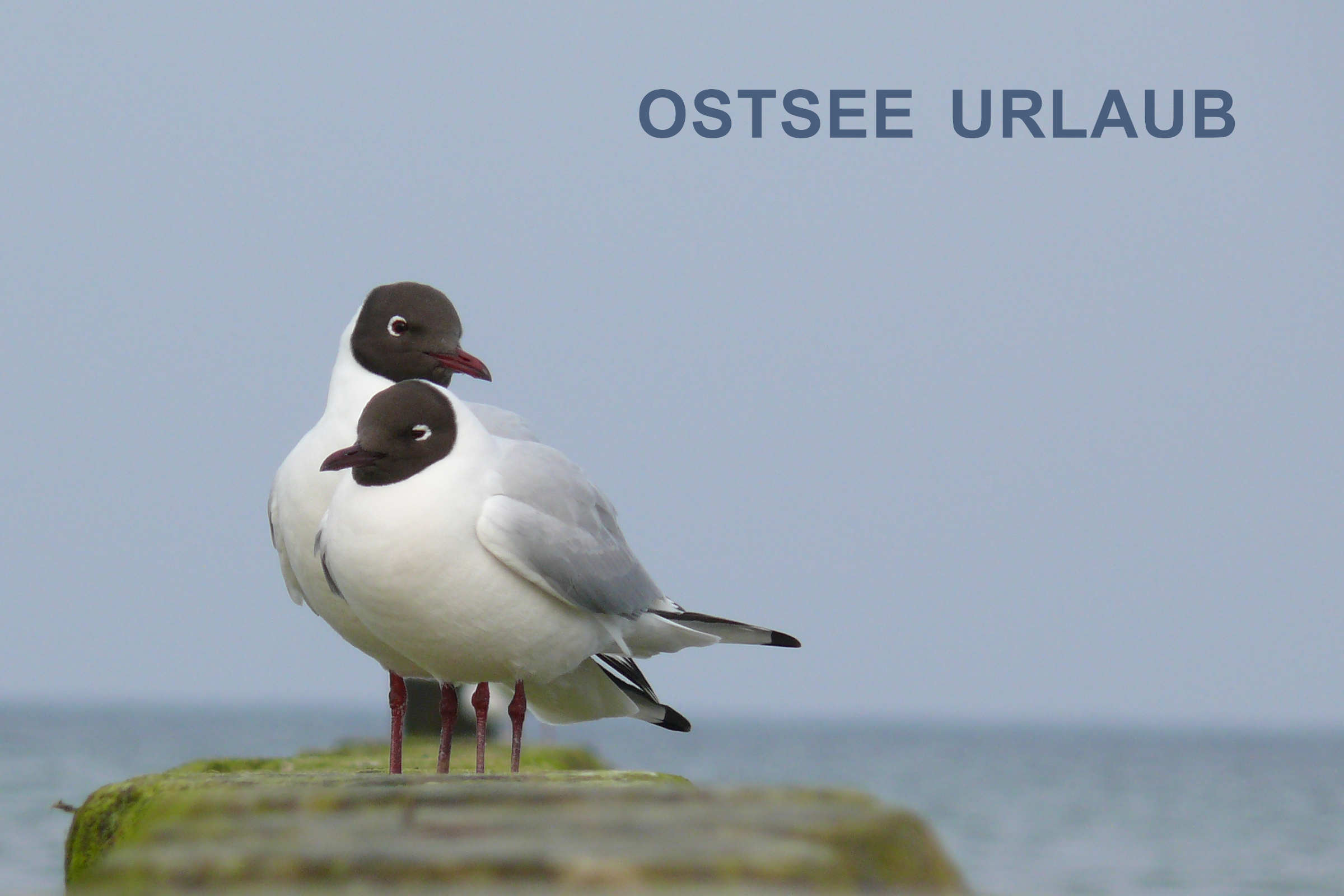 Ostsee-Urlaub zu zweit