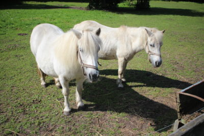 Zoo Stralsund